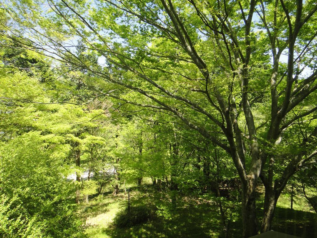 Top Resort Hakone Onsen Goku No Yado Eksteriør billede